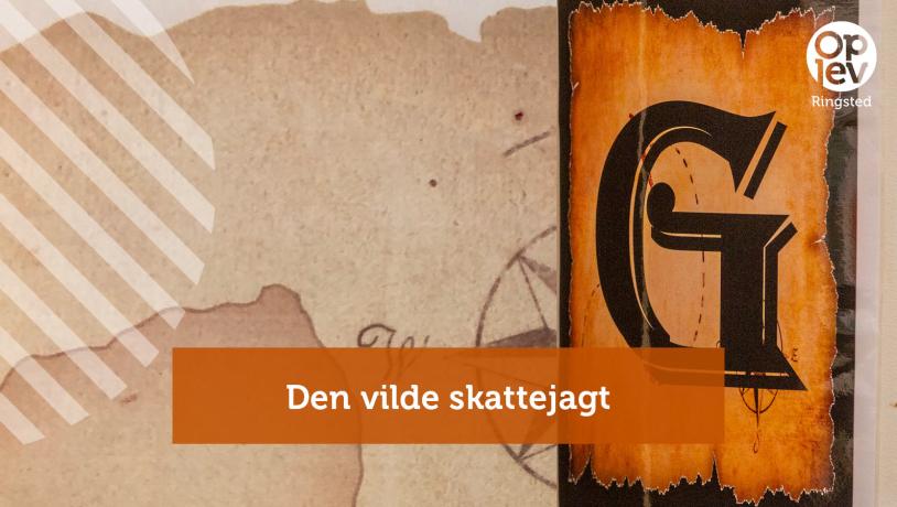 Den vilde skattejagt