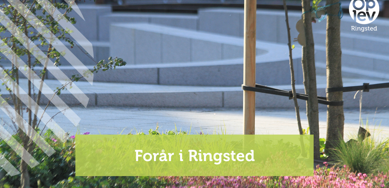 Forår i Ringsted