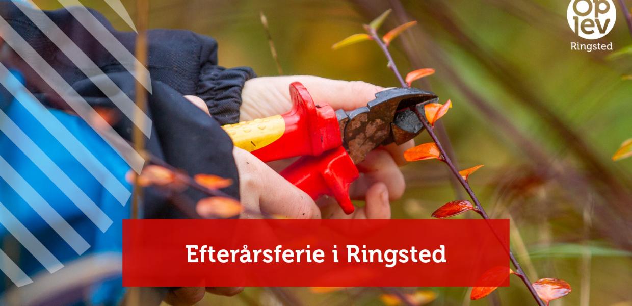 Efterårsferie 2022