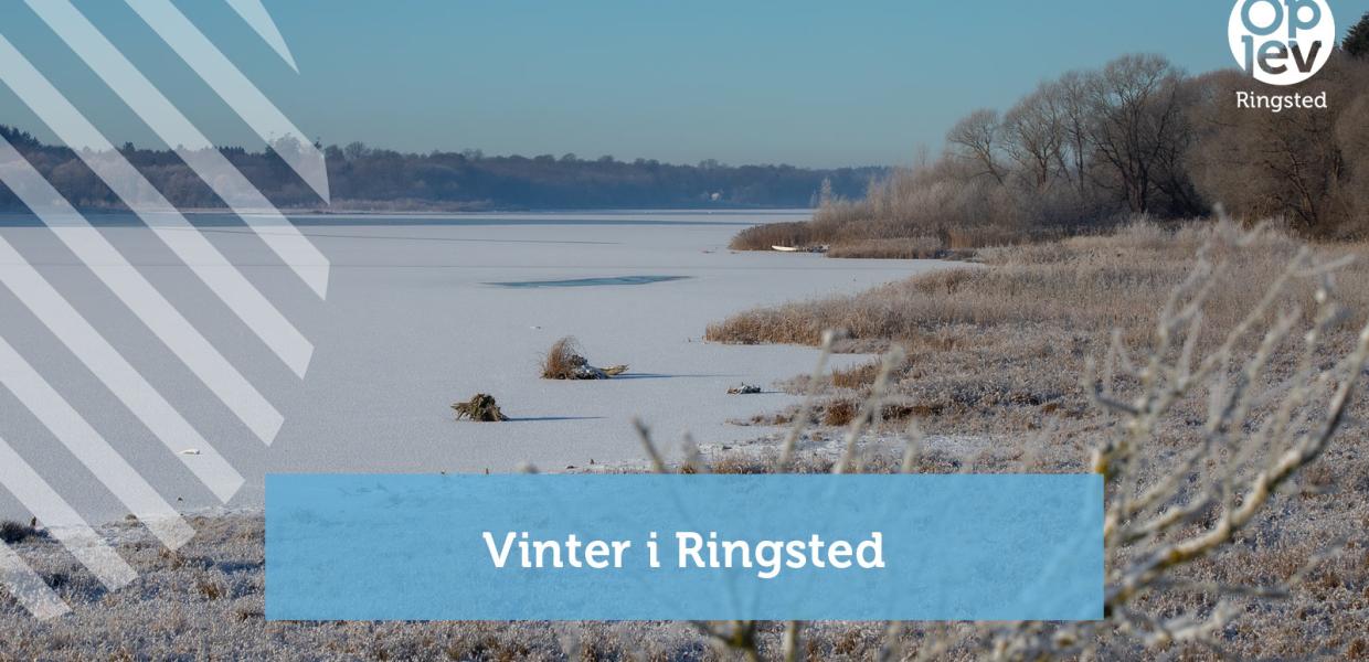 Vinter i Ringsted