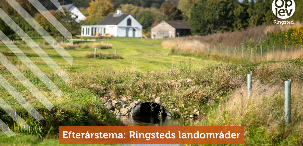 Efterårstema: Ringsteds landområder