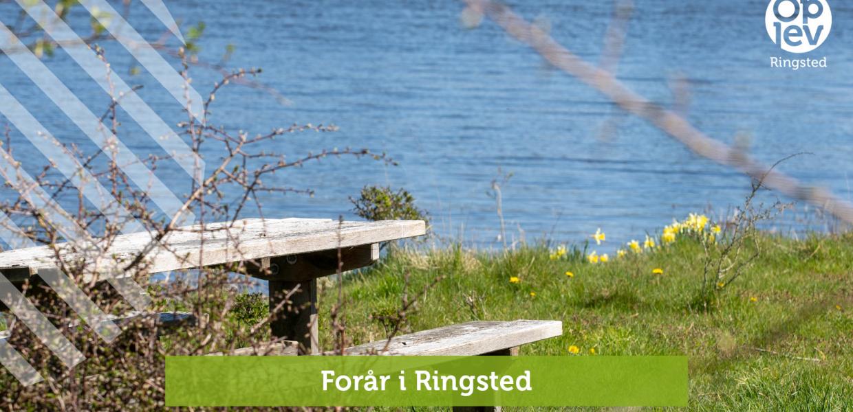 Forår i Ringsted 2024