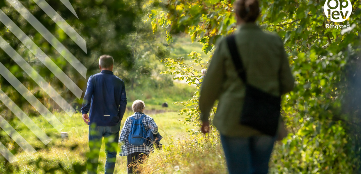 Vandreture i Ringsted