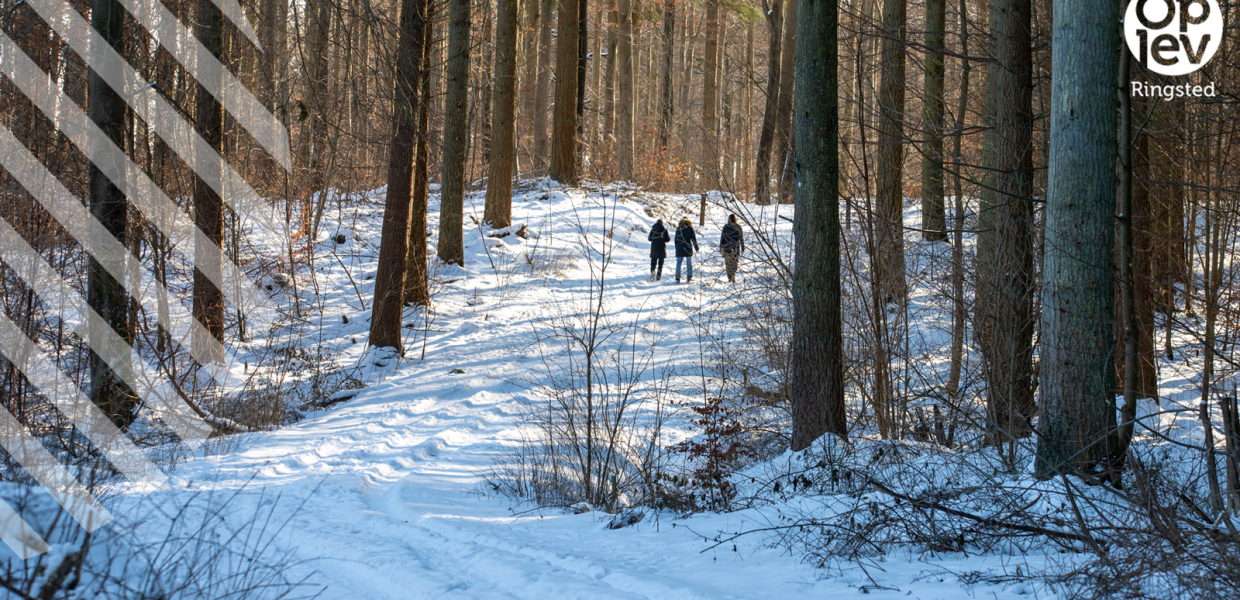 Vintertema: På med vandreskoene