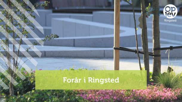 Forår i Ringsted