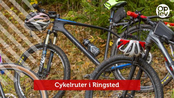 Cykelruter