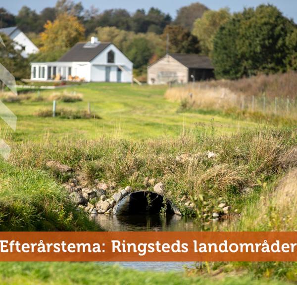 Efterårstema: Ringsteds landområder