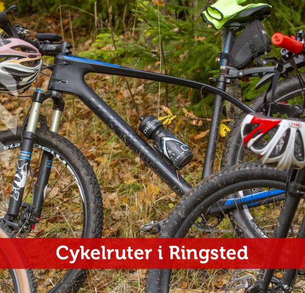 Cykelruter i Ringsted