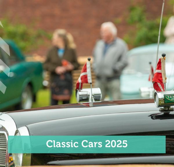Classic Cars 2025