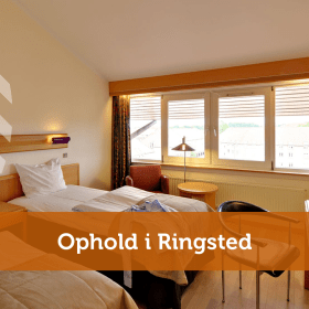 Ophold i Ringsted