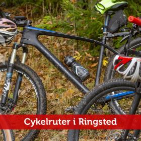 Cykelruter