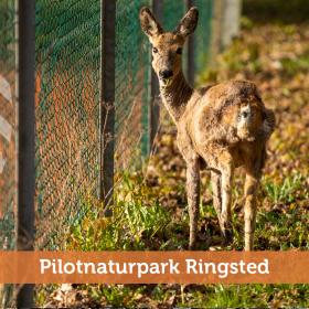Pilotnaturpark