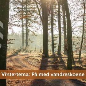 Vintertema: På med vandreskoene