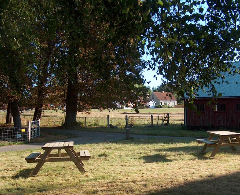 Landbocamping i Ringsted