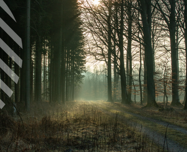 Forside visitringsted