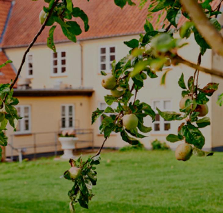 Øvrig overnatning ringsted